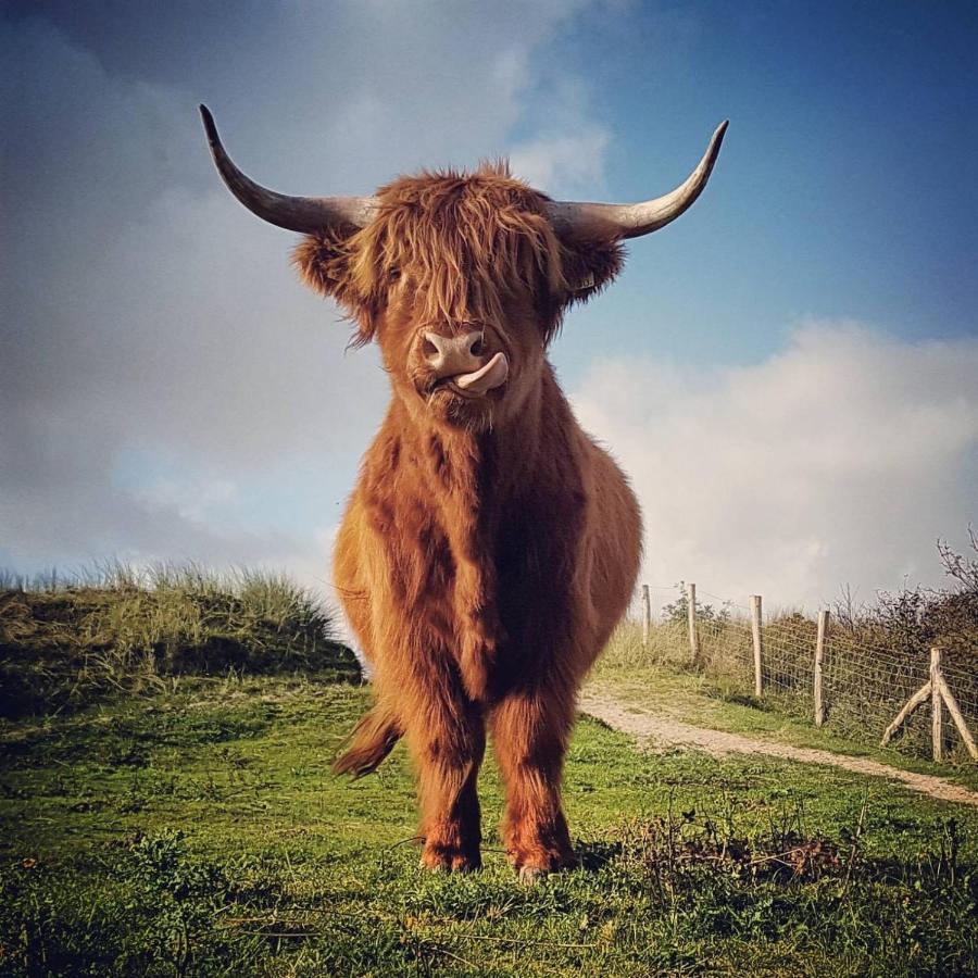 Overnachten Onder De Lange Jaap Den Helder Dış mekan fotoğraf