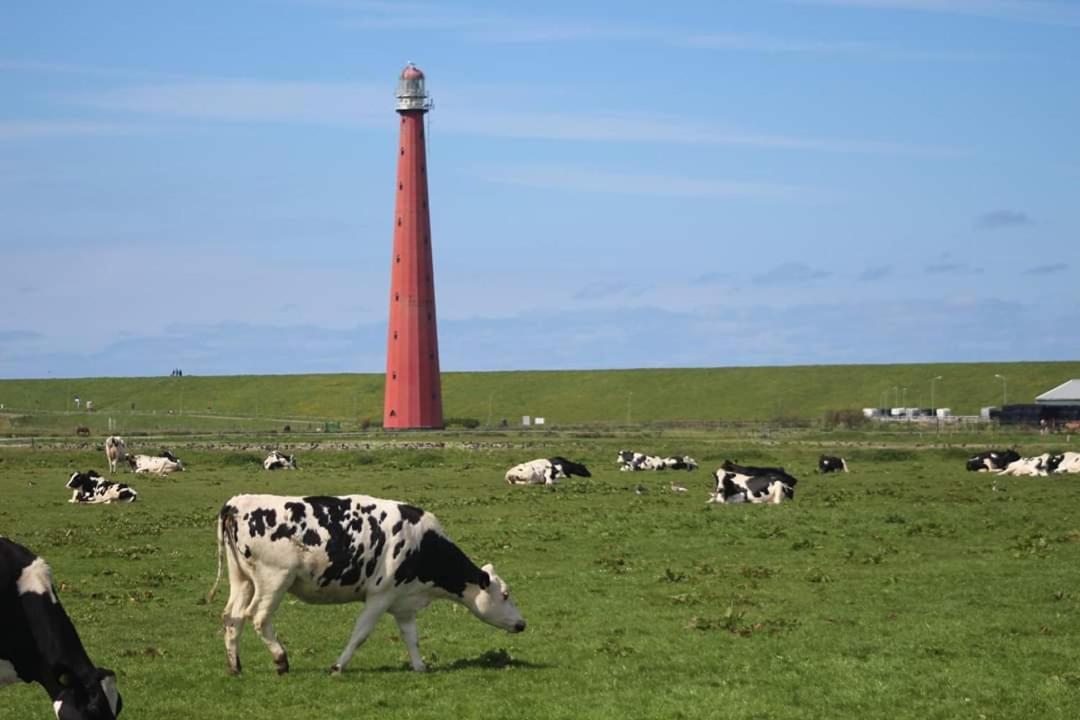 Overnachten Onder De Lange Jaap Den Helder Dış mekan fotoğraf